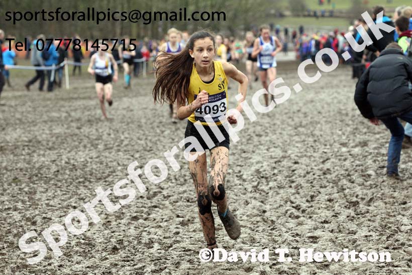 Girls under-15s 2018 British Inter Counties Cross Country Champs., Prestwold Hall, Loughborough. Photo: David T. Hewitson/Sports for All Pics